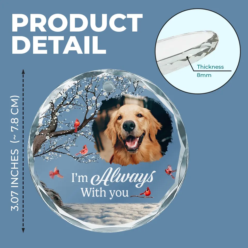 Custom Photo A Companion Is Gone, But The Memory Lives On - Memorial Personalized Custom Circle Glass Ornament - Sympathy Gift For Pet Owners, Pet Lovers - Image 4