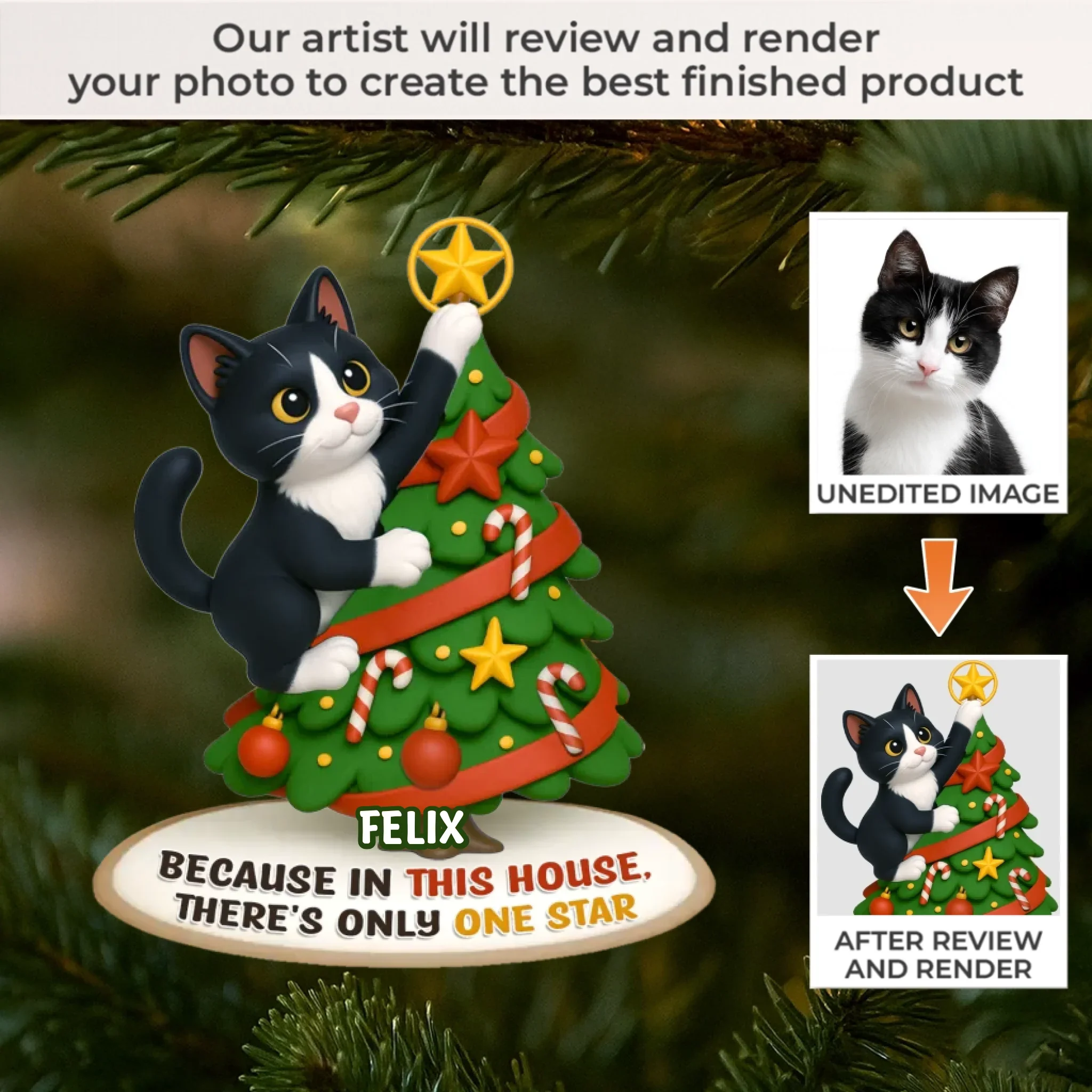 Custom Photo Acrylic Ornament - Personalized  Christmas Birthday Gifts For Dog Cat Lovers, Dog Dad And Mom, Cat Owners - Cat Steals The Show - Image 2