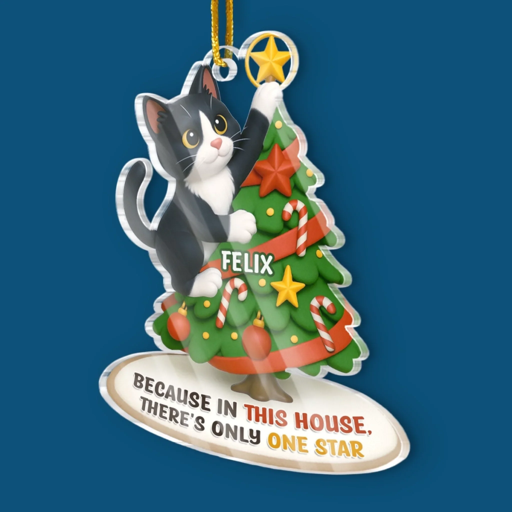 Custom Photo Acrylic Ornament - Personalized  Christmas Birthday Gifts For Dog Cat Lovers, Dog Dad And Mom, Cat Owners - Cat Steals The Show - Image 3