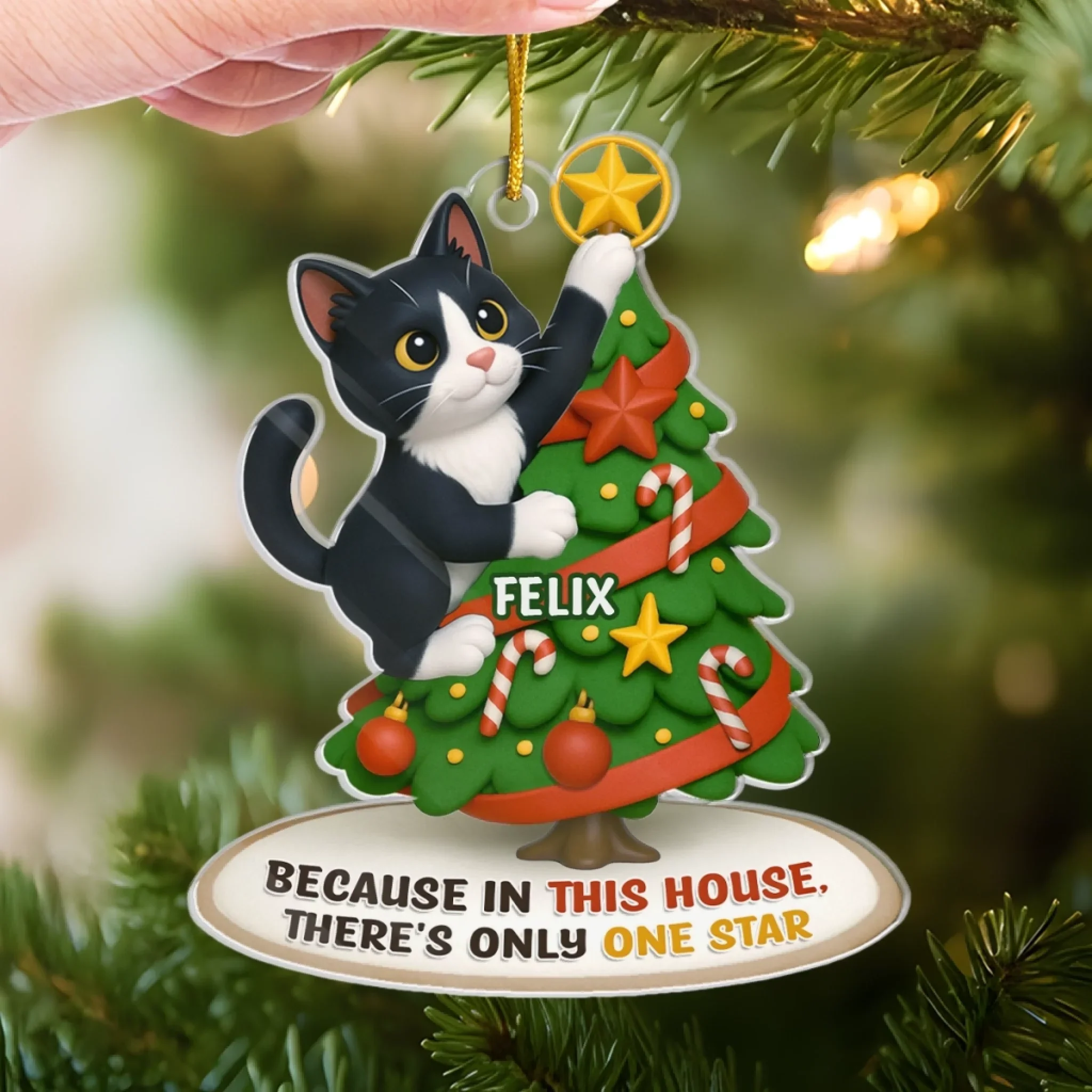Custom Photo Acrylic Ornament - Personalized  Christmas Birthday Gifts For Dog Cat Lovers, Dog Dad And Mom, Cat Owners - Cat Steals The Show - Image 4