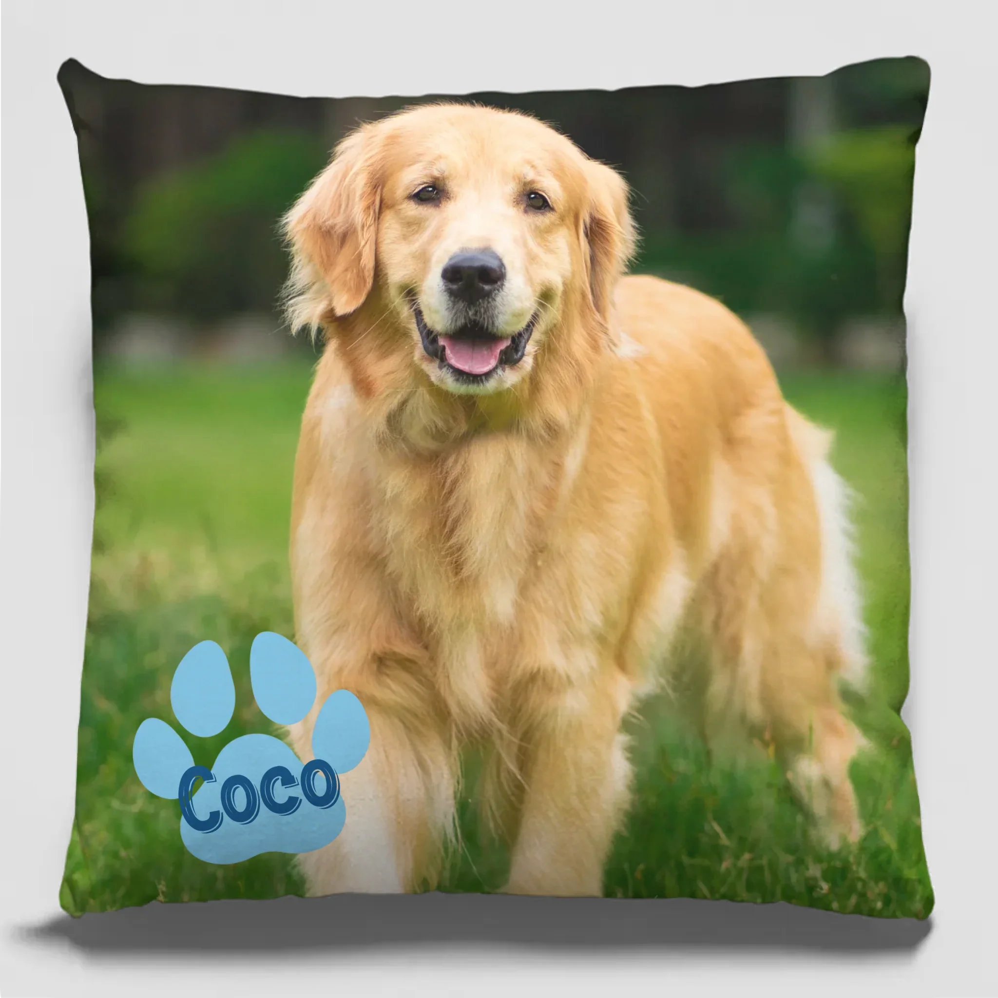 Custom Photo All You Need Is Love And A Pet - Dog & Cat Personalized Custom Pillow - Gift For Pet Owners, Pet Lovers - Image 2