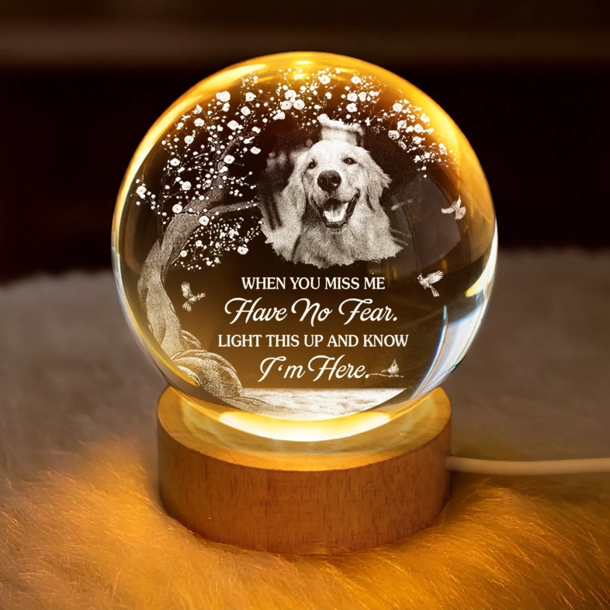 Custom Photo Crystal Globe Lamp - Personalized Pet Memorial Sympathy Gifts For Dogs, Cats - Gone Yet Always Near - Image 3