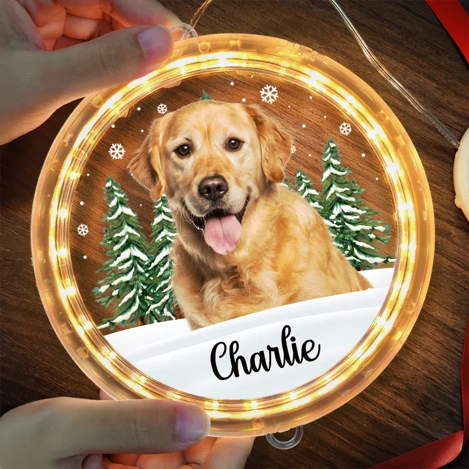 Custom Photo Every Day Is A Holiday With You By My Side - Dog & Cat Personalized Custom LED Pendant Light Ornament - Christmas Gift For Pet Owners, Pet Lovers - Image 4