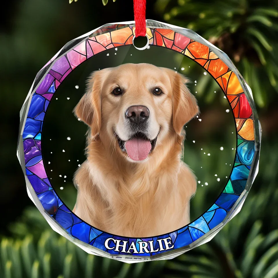 Custom Photo Every Pet Must Have His Day - Dog & Cat Personalized Custom Circle Glass Ornament - Christmas Gift For Pet Owners, Pet Lovers - Image 3