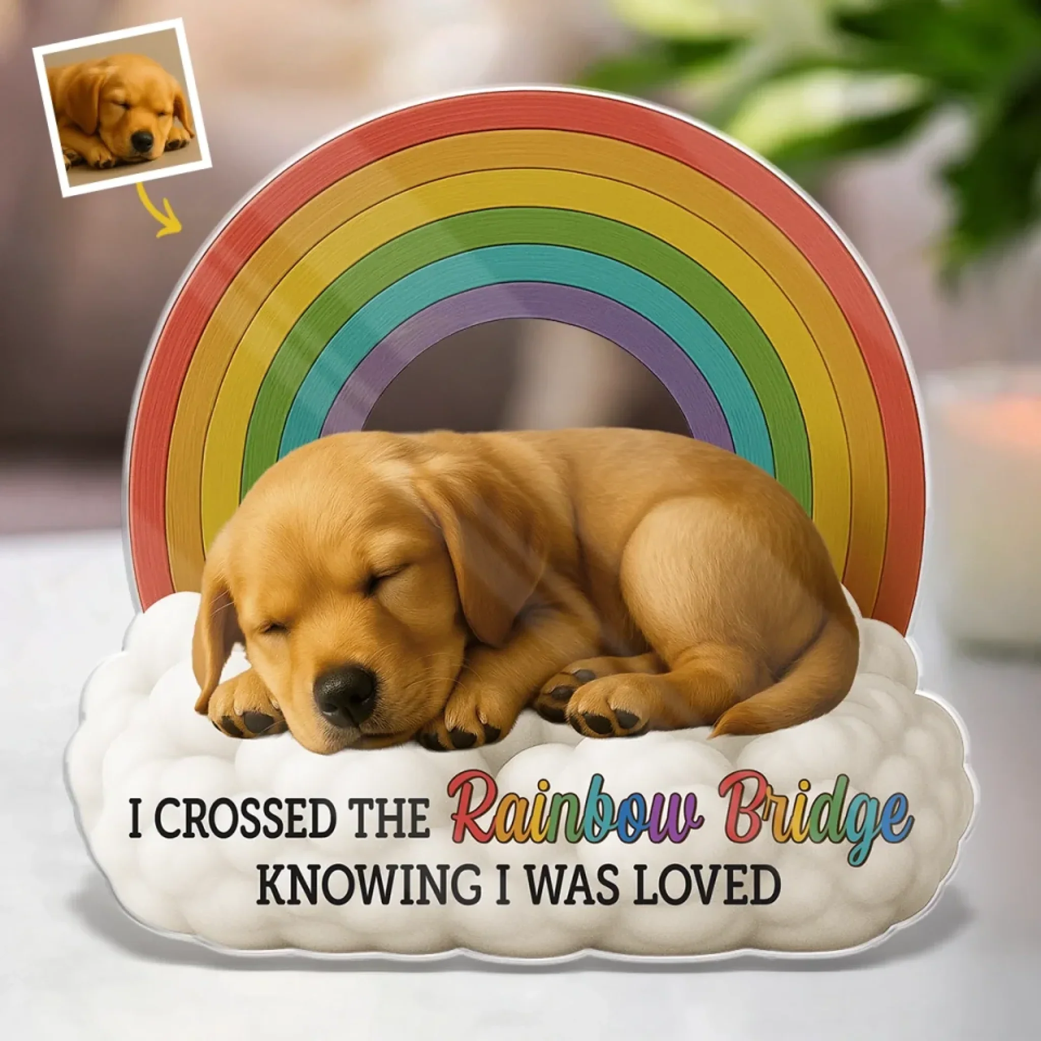 Custom Photo Forever In My Heart - Memorial Personalized Custom Acrylic Plaque Custom Shape - Sympathy Gift For Pet Owners, Pet Lovers
