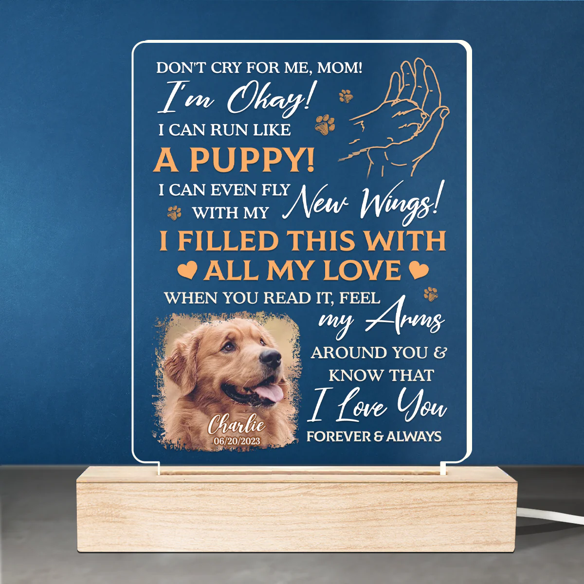 Custom Photo I Filled This With All My Love - Memorial Personalized Custom Shaped 3D LED Light - Sympathy Gift For Pet Owners, Pet Lovers - Image 2