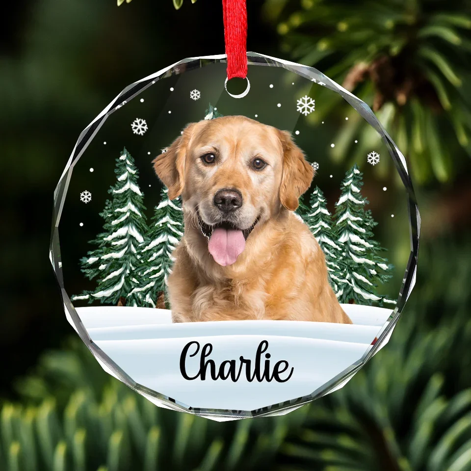 Custom Photo I’m Right Here Inside Your Heart - Memorial Personalized Custom Circle Glass Ornament - Christmas Gift, Sympathy Gift For Pet Owners, Pet Lovers - Image 3