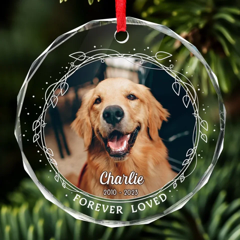 Custom Photo My Heart Will Always Wear The Pawprints Left By You - Memorial Personalized Custom Circle Glass Ornament - Christmas Gift, Sympathy Gift For Pet Owners, Pet Lovers - Image 3