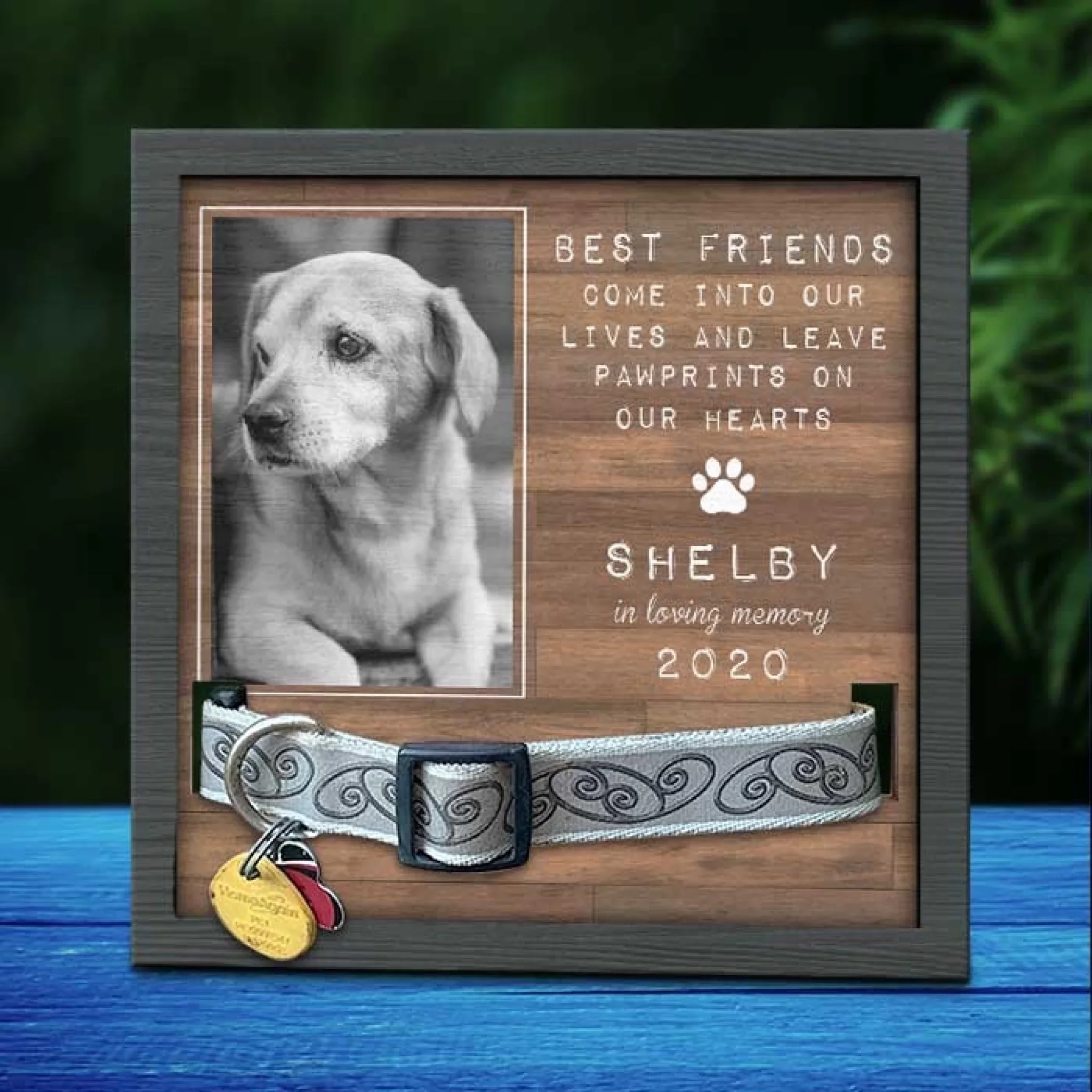Custom Photo Pet Loss Sign, Collar Frame - Personalized Pet Memorial Sympathy Gifts For Dogs, Cats - Run Free Over Rainbow Bridge - Image 2