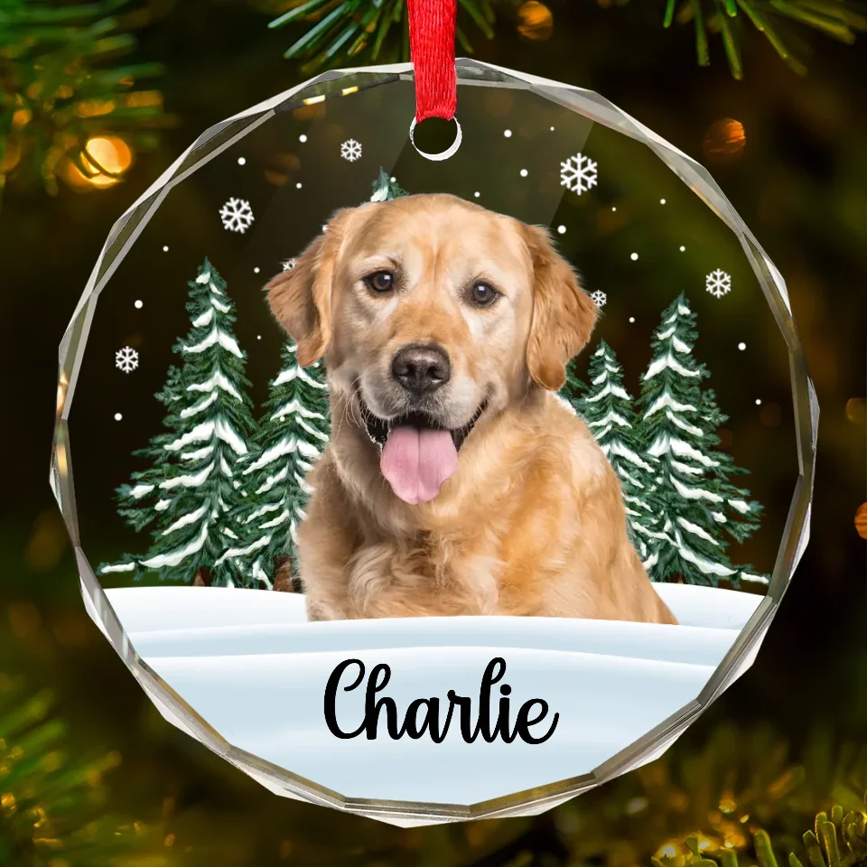 Custom Photo 'Til We Meet Again, My Friend - Memorial Personalized Custom Circle Glass Ornament - Christmas Gift, Sympathy Gift For Pet Owners, Pet Lovers - Image 2