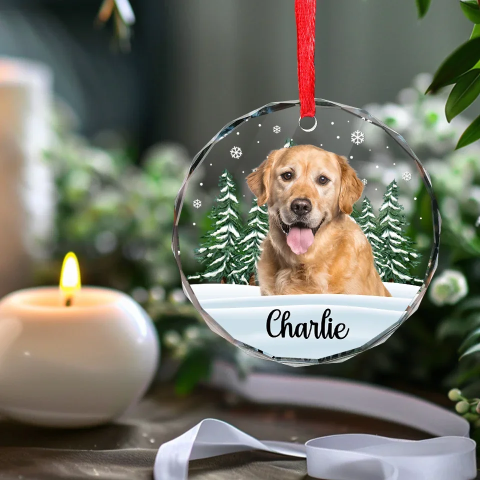 Custom Photo 'Til We Meet Again, My Friend - Memorial Personalized Custom Circle Glass Ornament - Christmas Gift, Sympathy Gift For Pet Owners, Pet Lovers - Image 5
