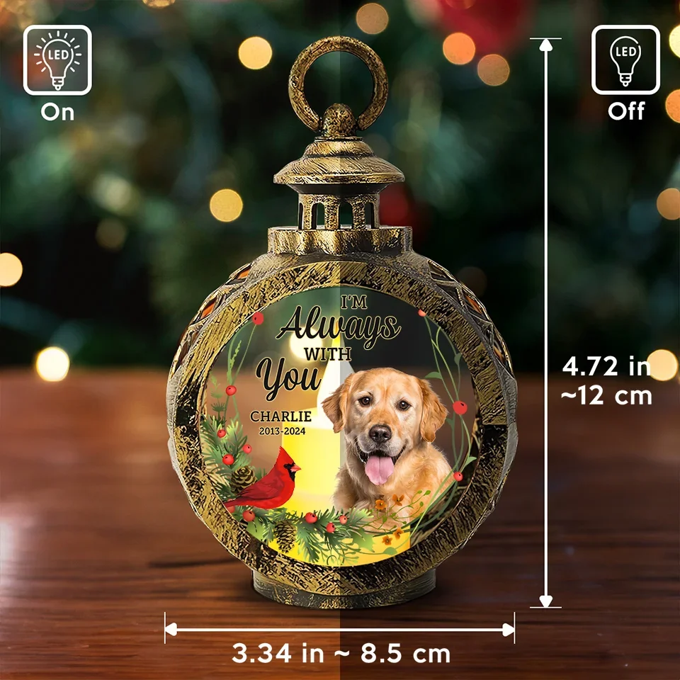 Custom Photo Time Spent With Pets Is Never Wasted - Memorial Personalized Custom Candlelight Lantern Ornament - Sympathy Gift, Christmas Gift For Pet Owners, Pet Lovers - Image 5