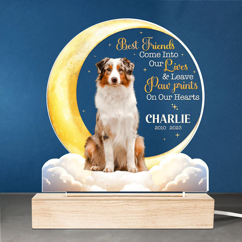 Custom Photo You Leave Paw Prints On Our Hearts - Memorial Personalized Custom Shaped 3D LED Light - Sympathy Gift For Pet Owners, Pet Lovers - Image 2