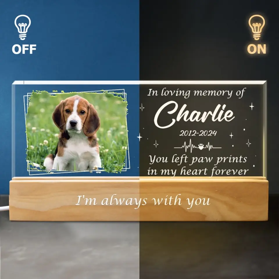 Custom Photo You Left Paw Prints In My Heart Forever - Memorial Personalized Custom Acrylic Letters 3D LED Night Light - Sympathy Gift For Pet Owners, Pet Lovers - Image 4