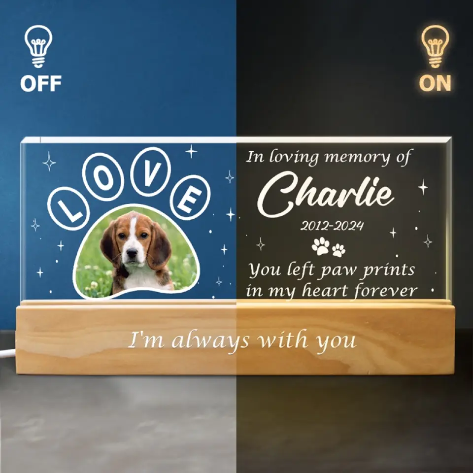 Custom Photo Your Light Will Always Shine In My Heart - Memorial Personalized Custom Acrylic Letters 3D LED Night Light - Sympathy Gift For Pet Owners, Pet Lovers - Image 4