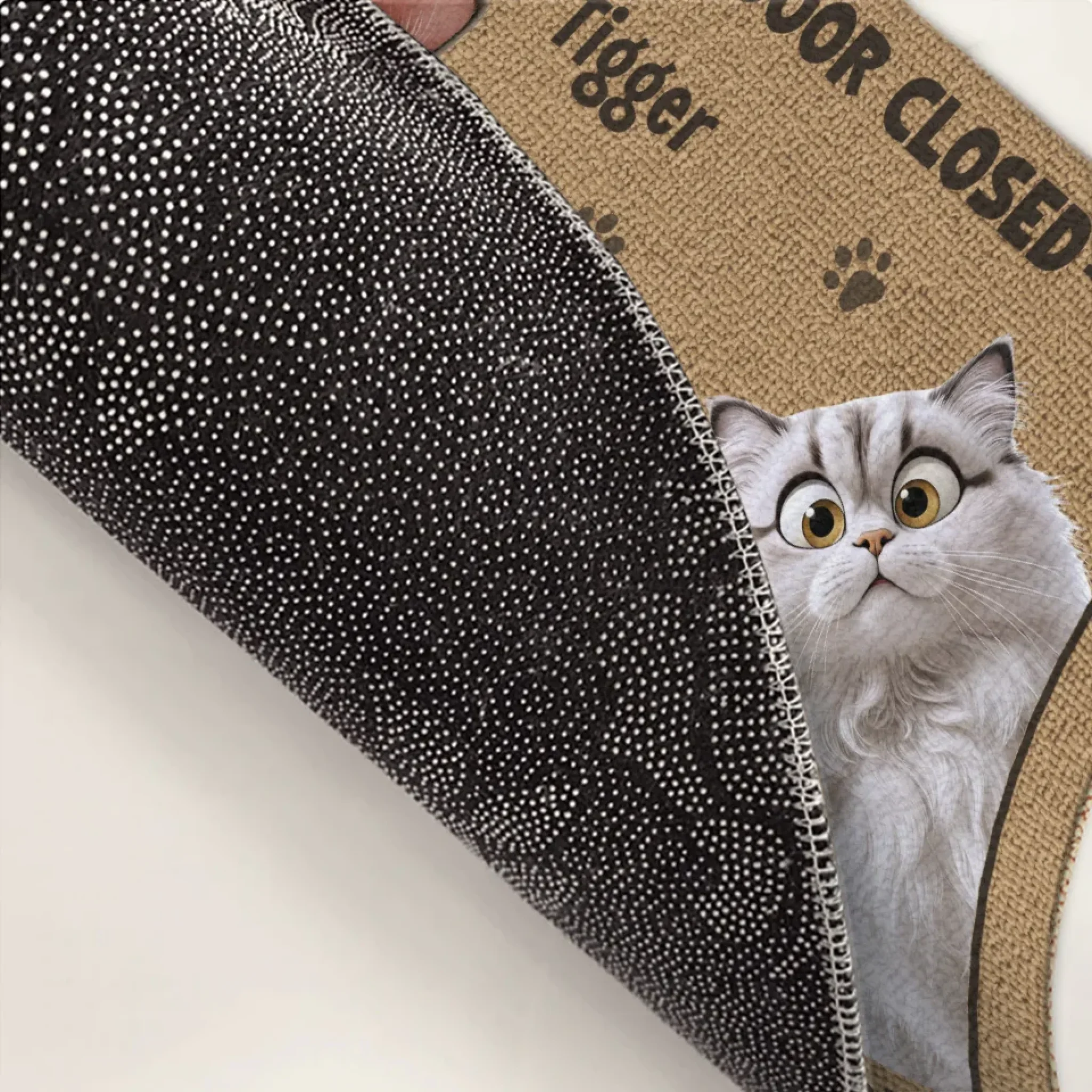Door Closed, Cat Mischief Paused - Cat Personalized Custom Home Decor Decorative Mat - House Warming Gift For Pet Owners, Pet Lovers - Image 4