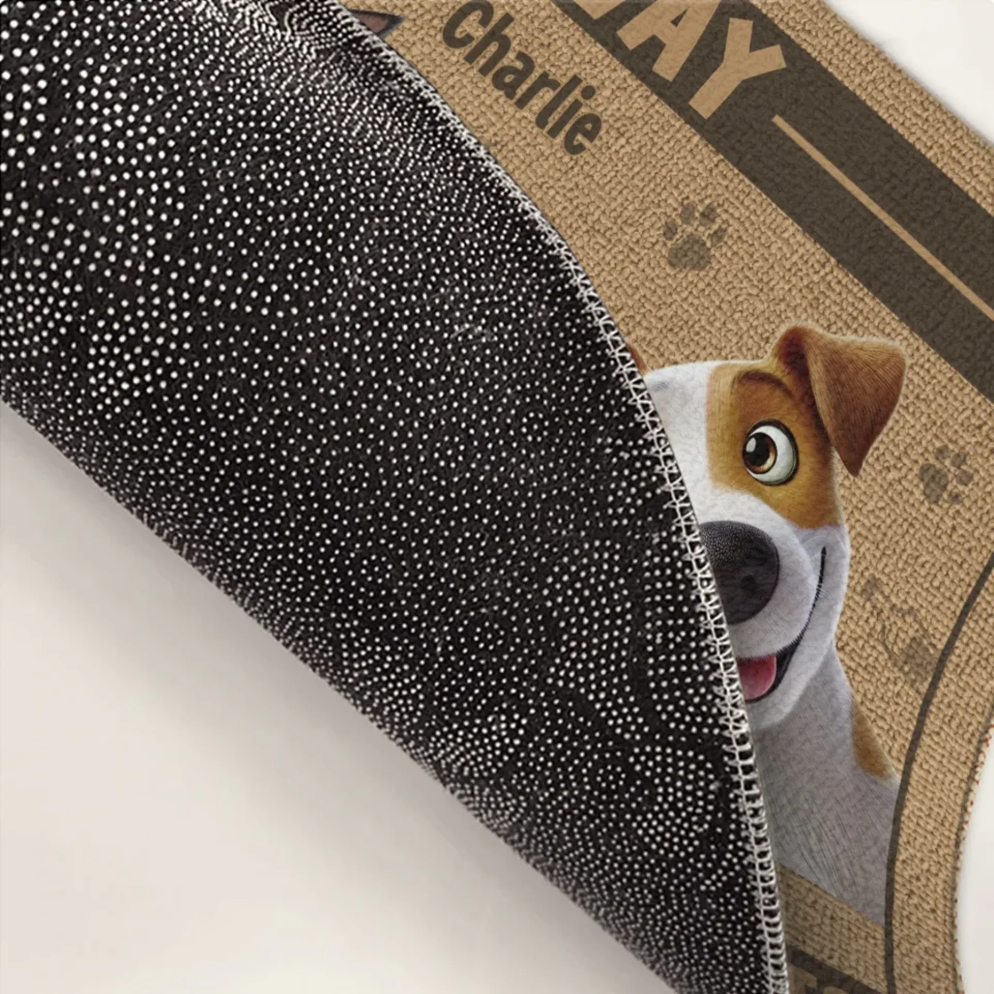 Treats Or Be Gone - Dog & Cat Personalized Custom Home Decor Decorative Mat - House Warming Gift For Pet Owners, Pet Lovers - Image 4