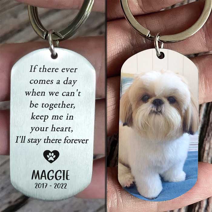 You're Gone But Not Forgotten - Upload Image, Gift For Pet Lovers - Personalized Keychain - Image 2